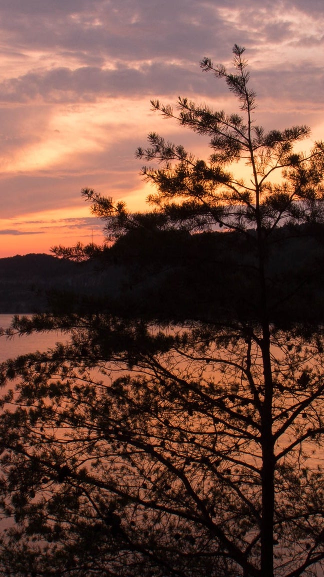 Carters Lake, GA Real Estate Homes For Sale Lakefront Cabins Above