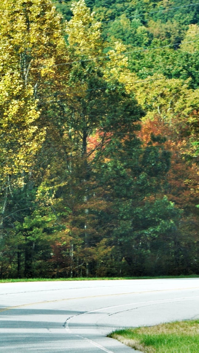 McCaysville, GA Cabins For Sale Above