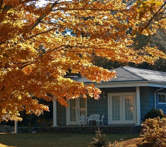Orange autumn tree and blue cottage typical of Cleveland, GA